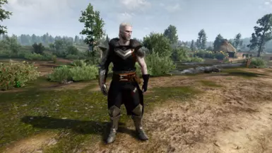Kirkwall's Finest for Geralt