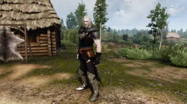 Kirkwall's Finest for Geralt