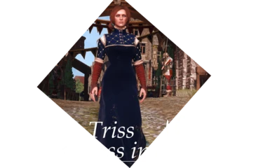 Triss - Sorceress in Hiding - outfit reworked
