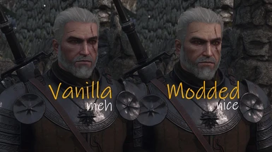 Geralt Redone 4K