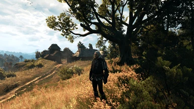 The Witcher 3 PCGH 11