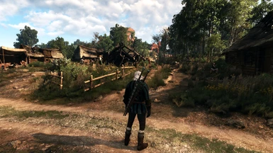 The Witcher 3 PCGH 53