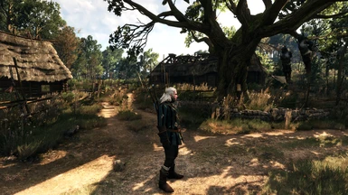 The Witcher 3 PCGH 54
