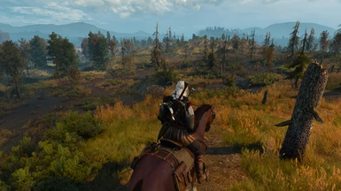 The Witcher3 PCGH Ultra 