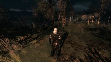 The Witcher 3 PCGH 45