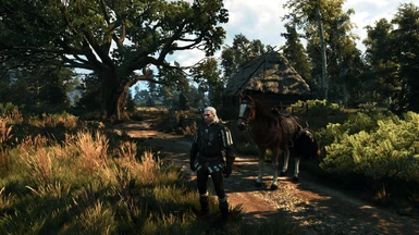 The Witcher 3 PCGH 50