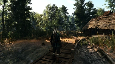 The Witcher 3 PCGH 57