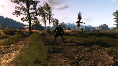 The Witcher 3 PCGH 69