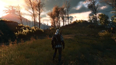 The Witcher 3 PCGH 74