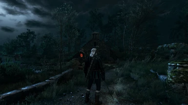 The Witcher 3 PCGH 02