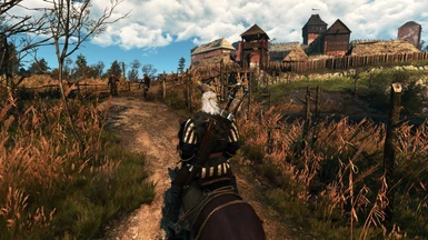 The Witcher 3 PCGH 06
