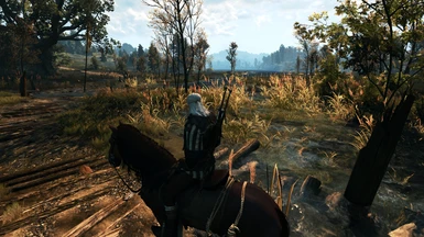The Witcher 3 PCGH 09