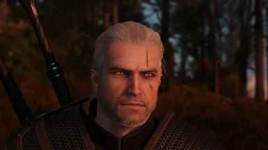 Geralt Redone