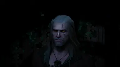 Witcher 1 Remake Geralt Concept at The Witcher 3 Nexus - Mods and community