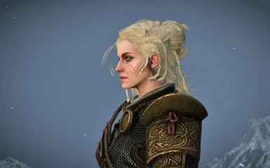Blond hair + armor