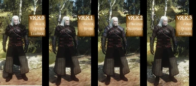 v2-0-X - Alternate Pauldron Texture Comparison and Number Guide