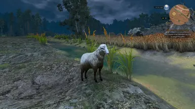 Vanilla Sheep