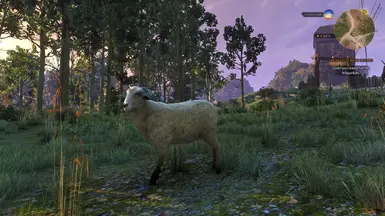 Better Sheep
