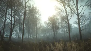 The swamp without the reshade