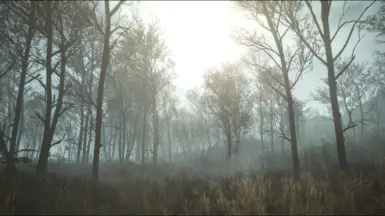 The swamp with the reshade