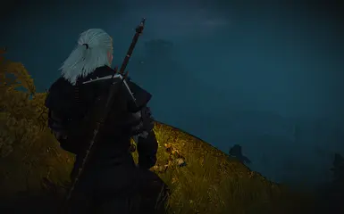 Original Witcher (TW1) at The Witcher 3 Nexus - Mods and community