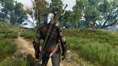 Changed Venomous Viper Swords in HoS DLC
