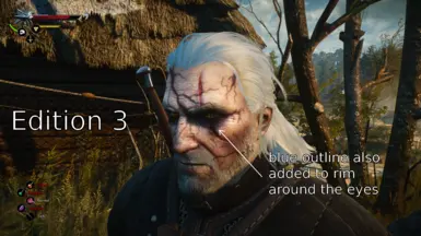 GitHub - cvax/modReflexes: Witcher 3 mod that focuses on Geralt's fighting  speeds