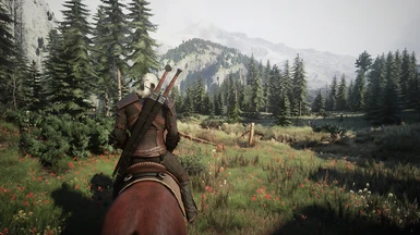 The Witcher 3 Next-Gen Project RT-ON