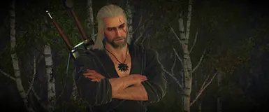 4K Widescreen Cutscene - Netflix Witcher Outfit