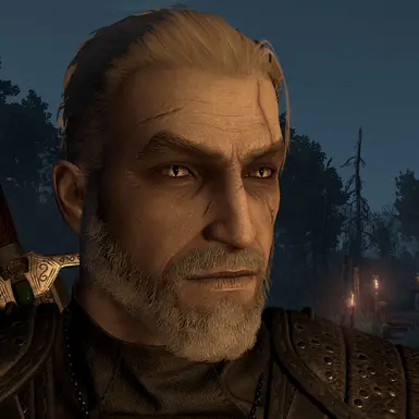 Fanmade Witcher 1 Remake Geralt Concept using mods and editing