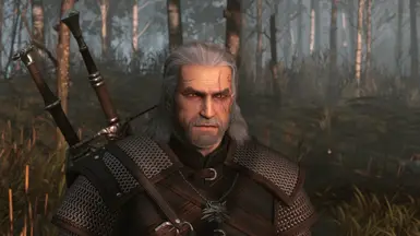 ANTR Geralt + Grey HW Hair