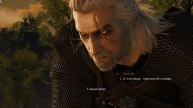 ReShade On + Geralt Remastered NG + Glowing Yellow Eyes + KNG DoF