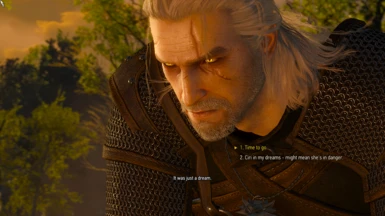 ReShade Off + Geralt Remastered NG + Glowing Yellow Eyes + KNG DoF