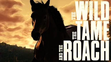 W.T.R - The Horse Kit