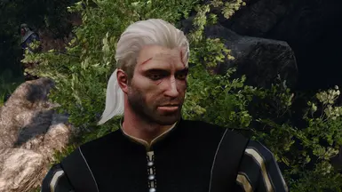 The Witcher 1 Geralt shaved at The Witcher 3 Nexus - Mods and community