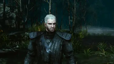 Witcher 1 Remake Geralt Concept at The Witcher 3 Nexus - Mods and community