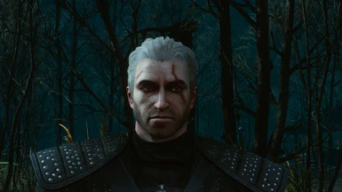 Witcher 1 Remake Geralt Concept at The Witcher 3 Nexus - Mods and community