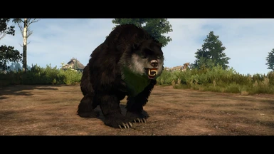 Mission and wild appearing bears. --->