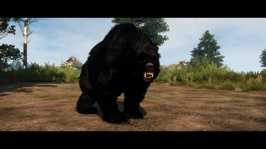 New black bear.