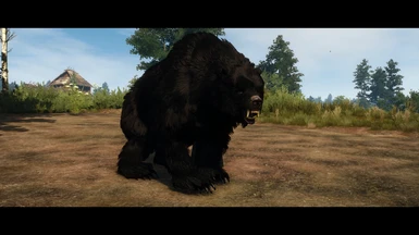 New black bear, V2.