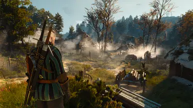 Faster Movement for Geralt at The Witcher Nexus - mods and community