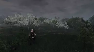 Vanilla
