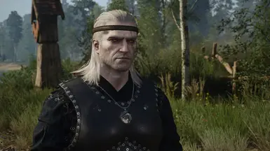 Netflix season 2 - No Shoulders at The Witcher 3 Nexus - Mods and community