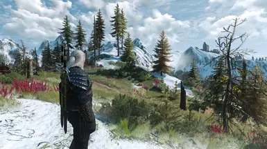 SKELLIGE 