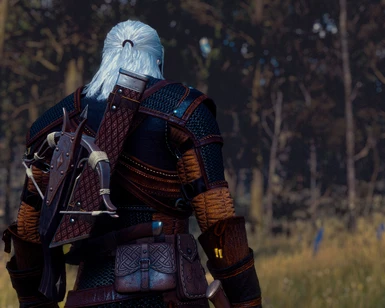 Faster Movement for Geralt at The Witcher Nexus - mods and community