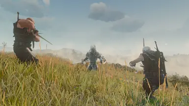 Rogue version