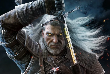 Save Game file for The Witcher 3 Wild Hunt