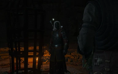 Geralt by a cage