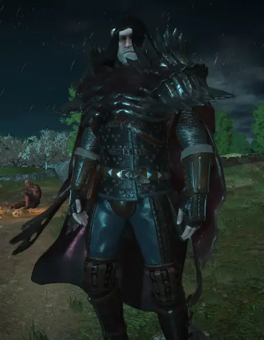 Swap Armour and Swords Appearances at The Witcher Nexus - mods and