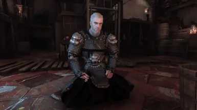 TW1 - Dark Armor and Black Armor at The Witcher Nexus - mods and community